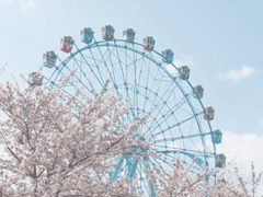 항상 밝게 웃고 있는 그들이