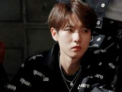 어린왕자와 여우