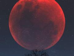 아버지의 여행 가방...