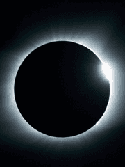 수일배 장르 크로스오버