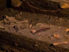 문화재 발굴 아르바이트 준비 가이드