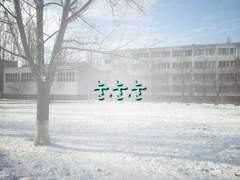 눈,눈,눈