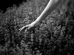 [제네로아]이해