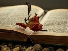 [ 앤드류 / 10살 ]