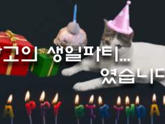 망고의 생일파티...였습니다?