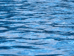 사계절같은 목소리를 지닌 그 사람