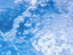 왕샤오 2차 창작 소설 채널 오픈.