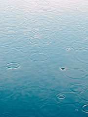 狂詩曲 : 부서진 조각과 잔상