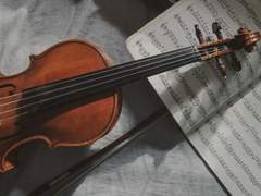 타주예고의 바이올리니스트