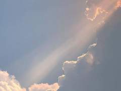 화창하던 여름 날