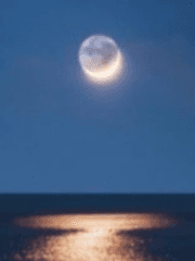 새벽에게 보내는 편지