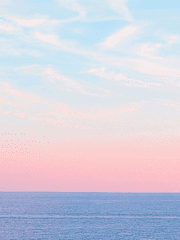 2021년 : 겨울의 장