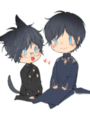 FF14 자컾 로그정리