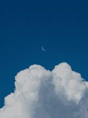 [호우/민원] The Planet