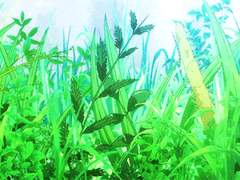 화사/6세/유혈목이/미리내반/ 2동(407호)