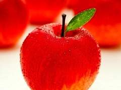 흠(欠)﻿/이도은