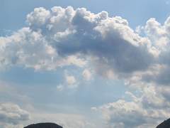 배팀장님의 이중생활