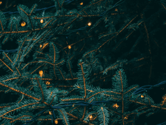 ʟᴇᴛᴛᴇʀs ᴛᴏ ᴄʜʀɪsᴛᴍᴀs