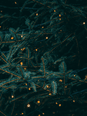 ʟᴇᴛᴛᴇʀs ᴛᴏ ᴄʜʀɪsᴛᴍᴀs