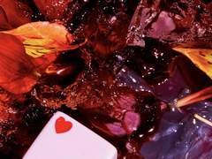 쓰면 삼키고 달면 뱉는다 1