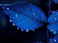 오히려 즐거움에 가깝다.