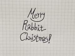 Merry Rabbit Christmas! 00