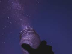 백서율 · 난초당 · 男