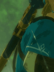 야생의 숨결 이것저것