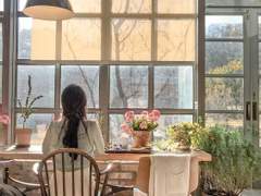 독특한 플롯/아돌프와 알버트의 언어...