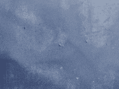 주연 캐릭터 설정집