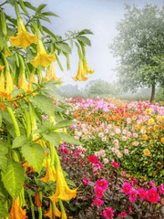 [하이큐/bl] 꽃밭태서