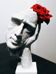 솜인형사는것도힘들어뒤지것네