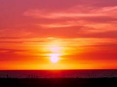 당신을 생각합니다