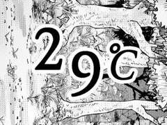 컨티뉴얼 - 29℃