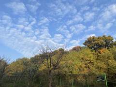 내일도 맑은 하늘처럼