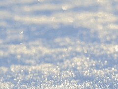 로렐 가브리아나 , 38세