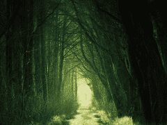 선민하 공개프로필