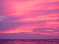 ···무, 무슨 소리 안 들려?