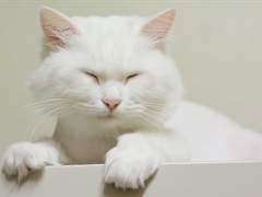 물끄러미/이도은