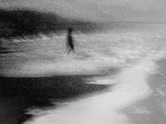 A bird that drinks poison.