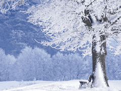 마여커°17°XX°에쉬칼리아