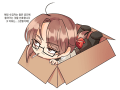 20211126 고양이고키부리