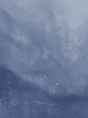 내가 살아가는 길