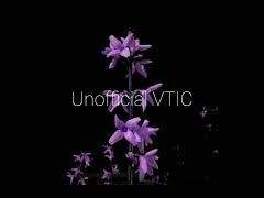 Unofficial VTIC '별 보라'