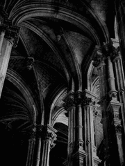 [쿱정 솔부] 유토피아