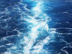 카일 솔뤼스 | 25 | 그라샤