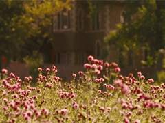 Event. When he was eight years old.