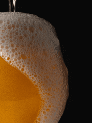 [백렌] 깡맥주 한 모금