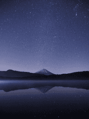 전지적 독자 시점