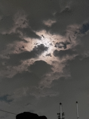 단편 모음집 - 뭐든 써볼까?